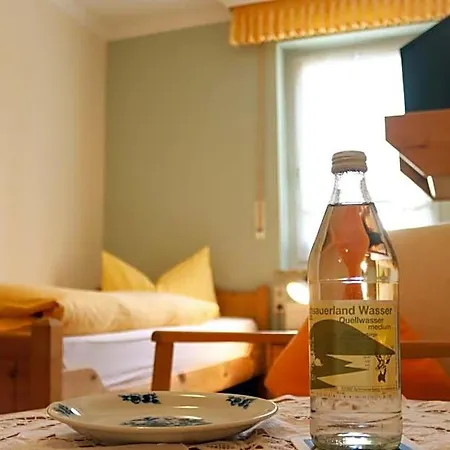 Zur Post Hotel 3*